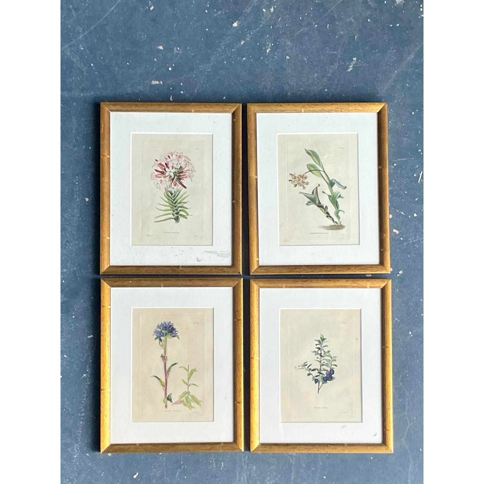 Vintage Regency Blumenmusterdrucke - Satz von 4 (Art déco) im Angebot