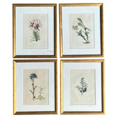 Prints