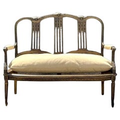 Vintage Regency Gilt Tipped Carved Cane Settee