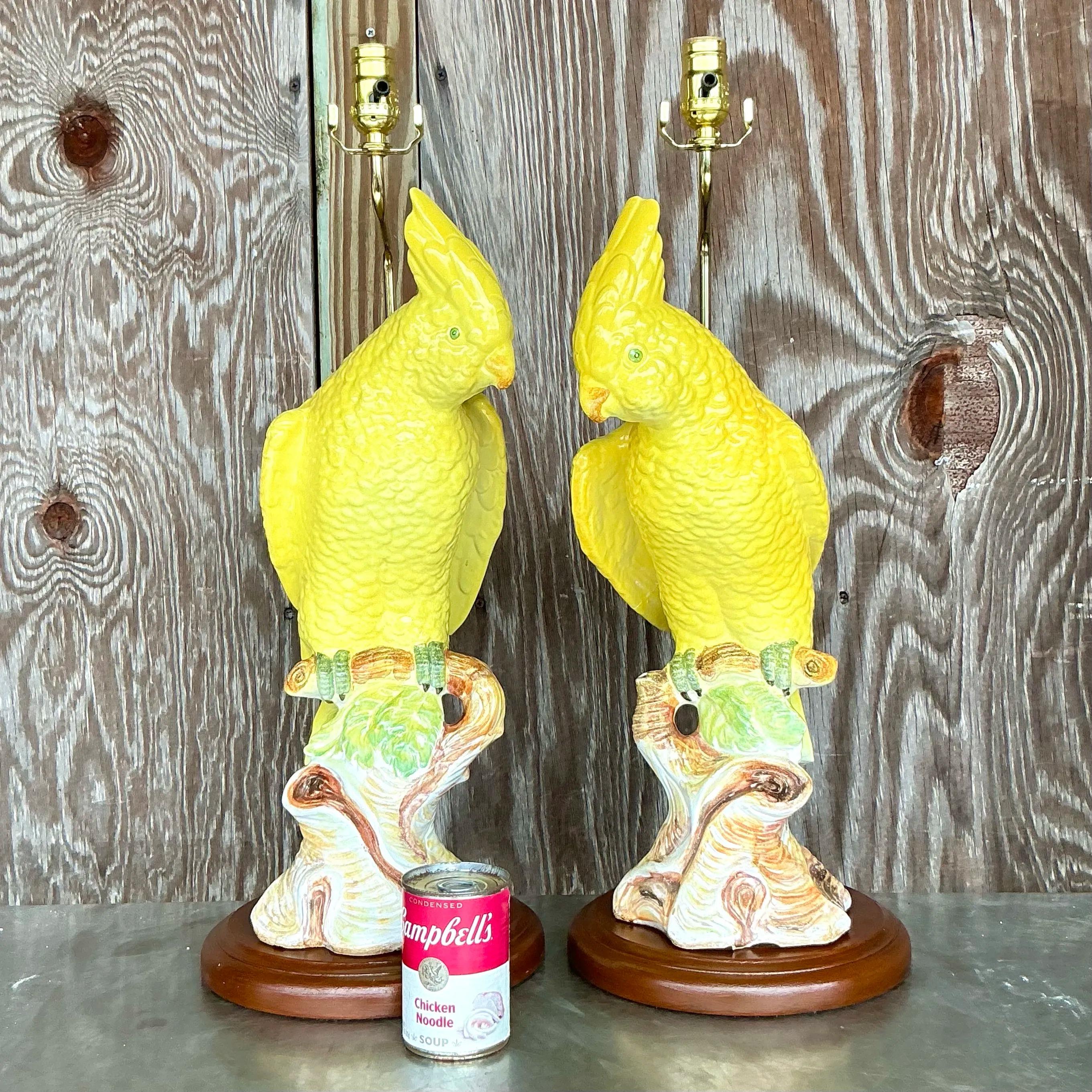 American Vintage Regency Glazed Ceramic Cockatoo Lamps - a Pair