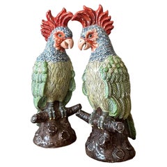 Cacatua in ceramica smaltata vintage Regency - Una coppia