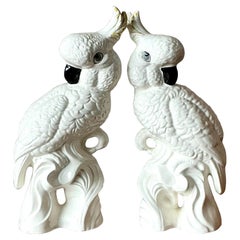Collectibles and Curiosities