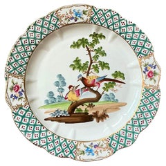 Porcelain Dinner Plates