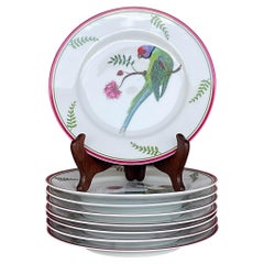 Vintage Regency Lynn Chase “Parrots in Paradise” Luncheon Plates.- Set of 8