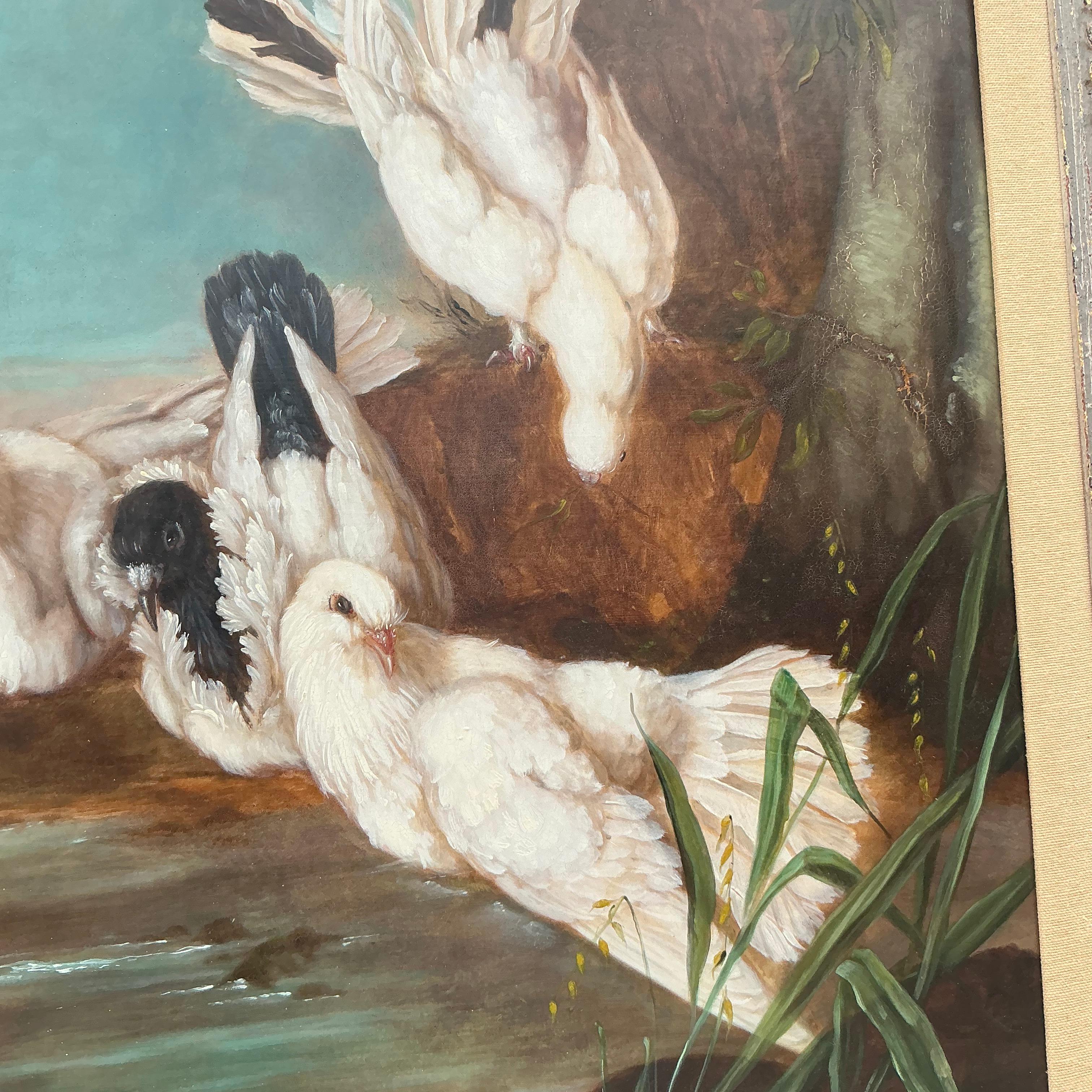 Verschönern Sie Ihren Raum mit zeitloser Eleganz mit diesem Vintage Regency Original Ölgemälde mit Tauben. Dieses exquisite Kunstwerk, das sich ideal für amerikanische Innenräume eignet, zeigt ruhige Tauben, die mit reichen, detaillierten