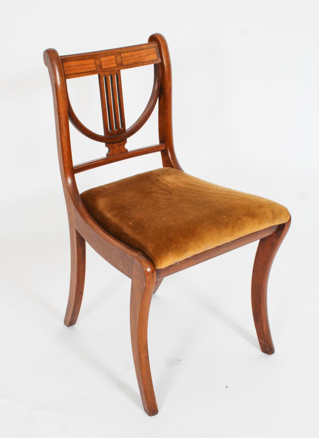 Vintage Regency Revival Dining Table & 6 Dining Chairs 20th Century 15