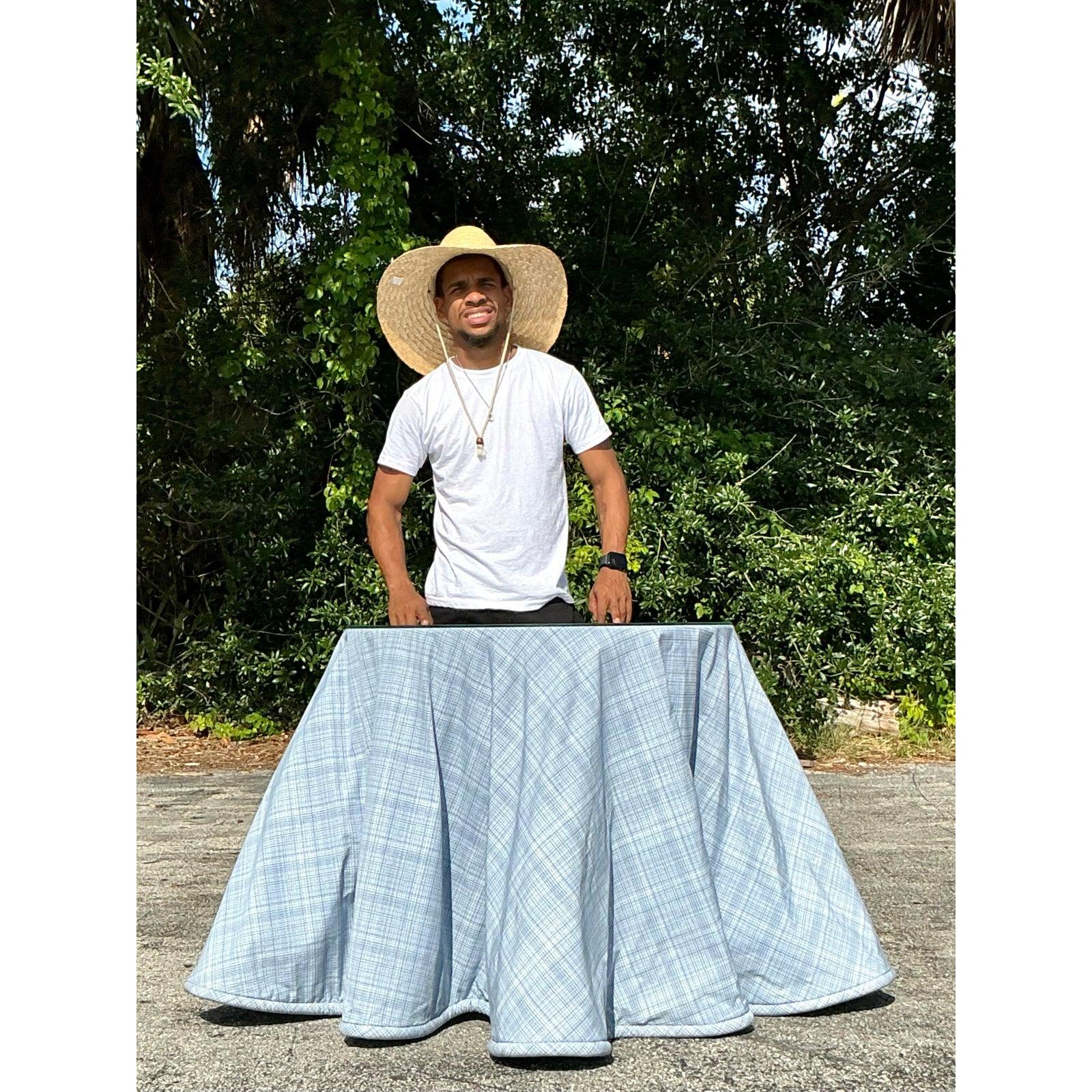 Vintage Regency Tonal Plaid Skirted Tisch (20. Jahrhundert) im Angebot