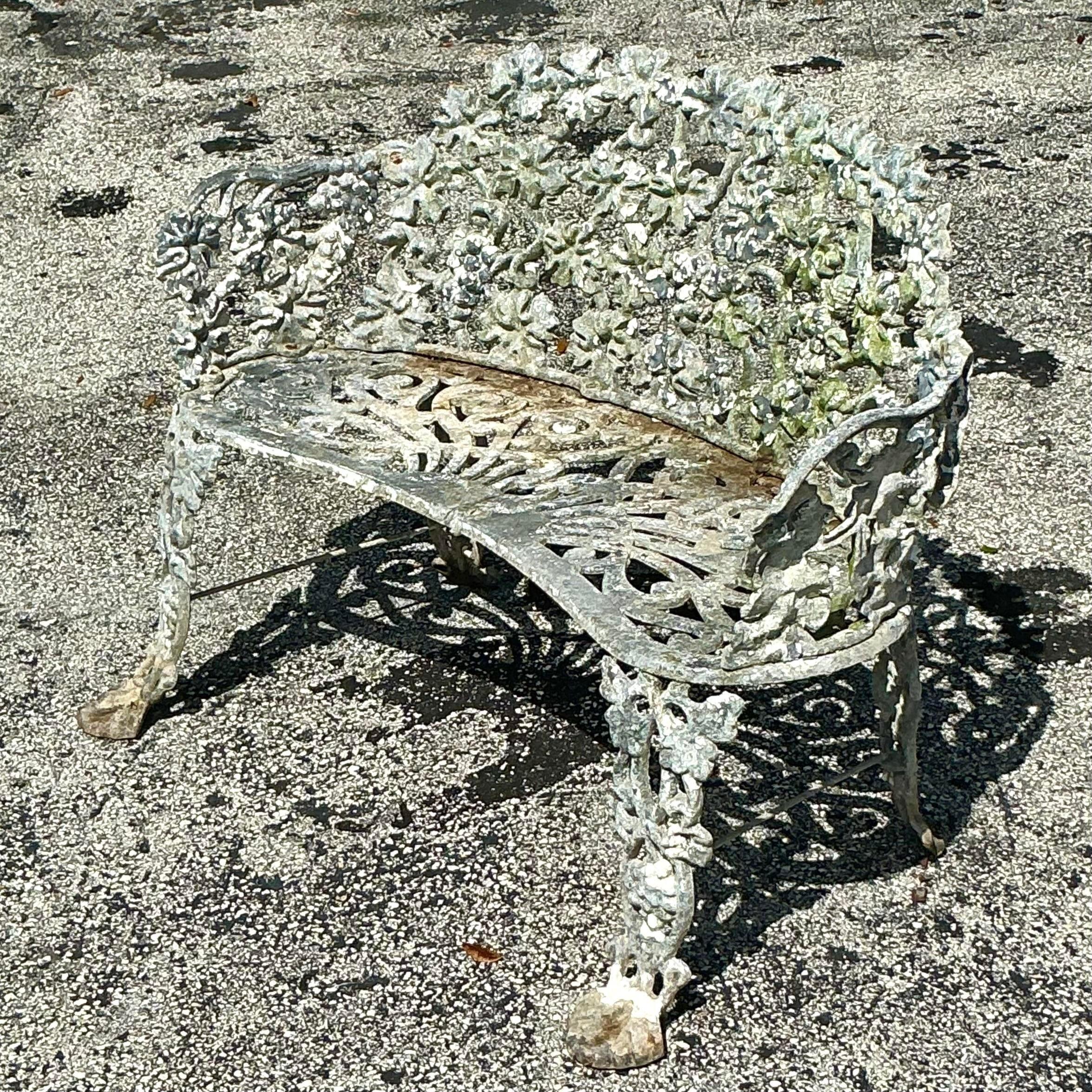 Banc Vintage Regency en fer forgé à feuilles de vigne, présentant des détails complexes de feuilles de vigne et une construction durable. Un ajout charmant et élégant à tout espace extérieur ou jardin. Acquis d'une propriété de Palm Beach.