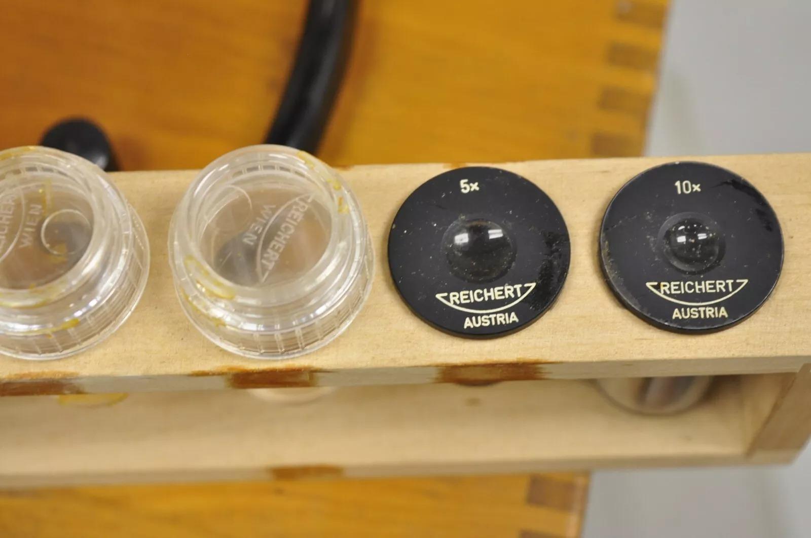 Microscope autrichien Reichert 241 653 vintage en bois avec accessoires Bon état - En vente à Philadelphia, PA