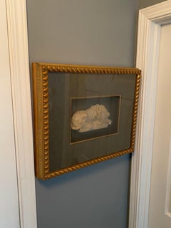 Scultura tridimensionale vintage di un leone della Ren-Wil, incorniciata in una cornice dorata