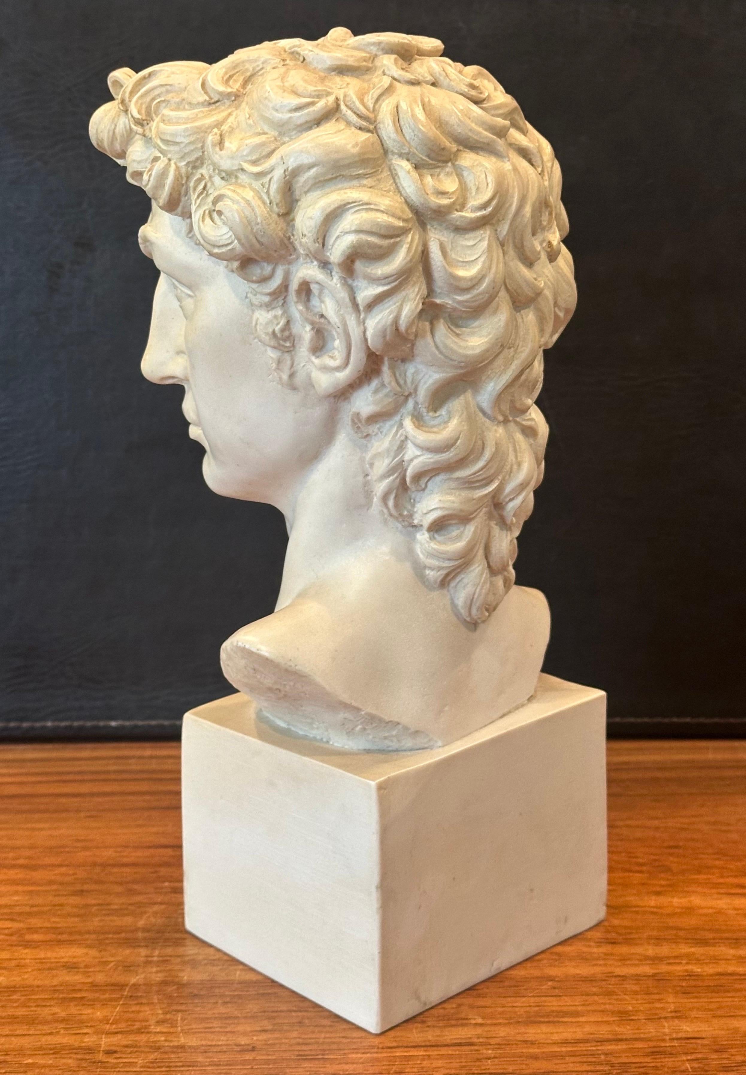 Busto in resina d'epoca del David di Michelangelo in vendita 5