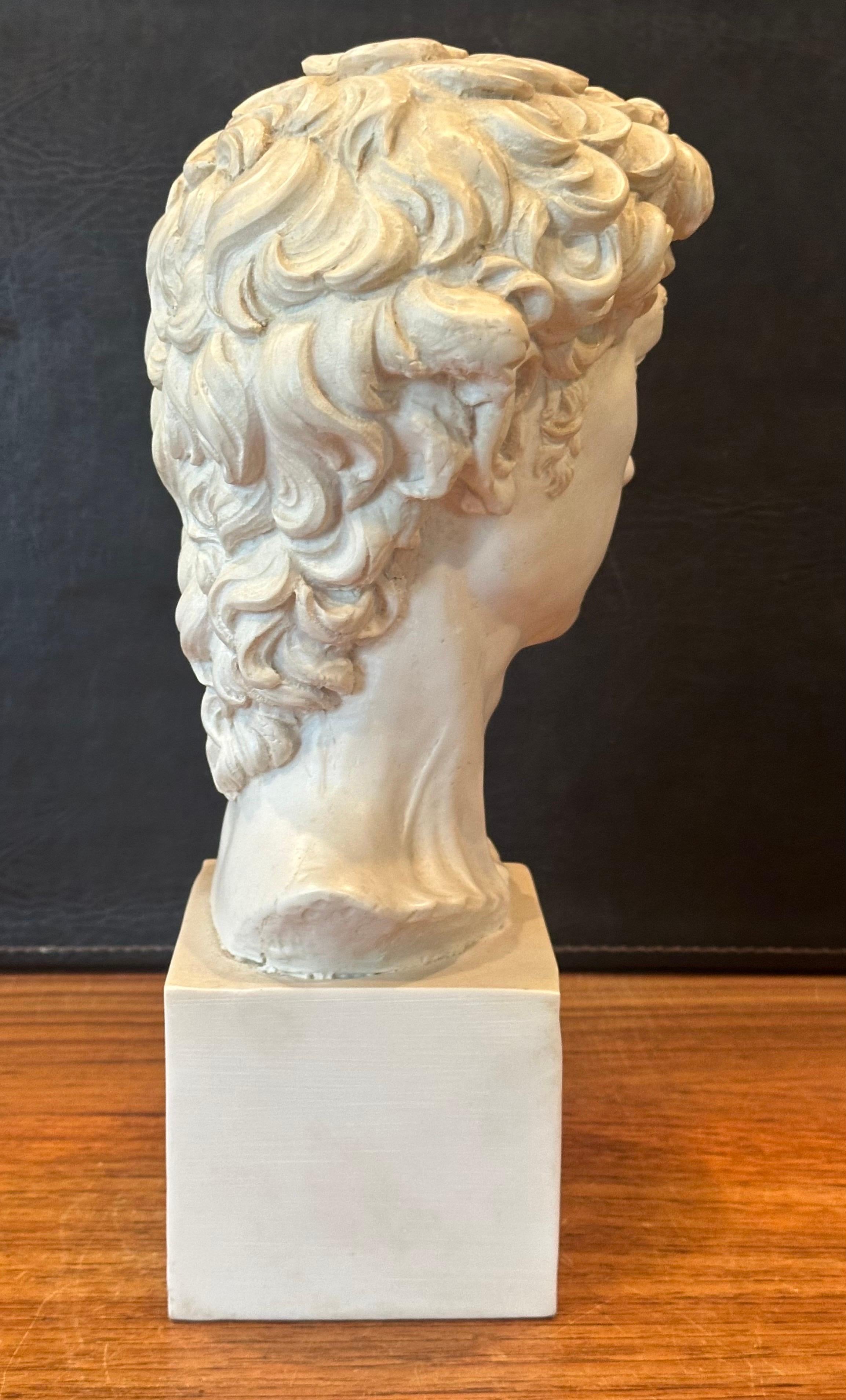 Busto in resina d'epoca del David di Michelangelo in vendita 6