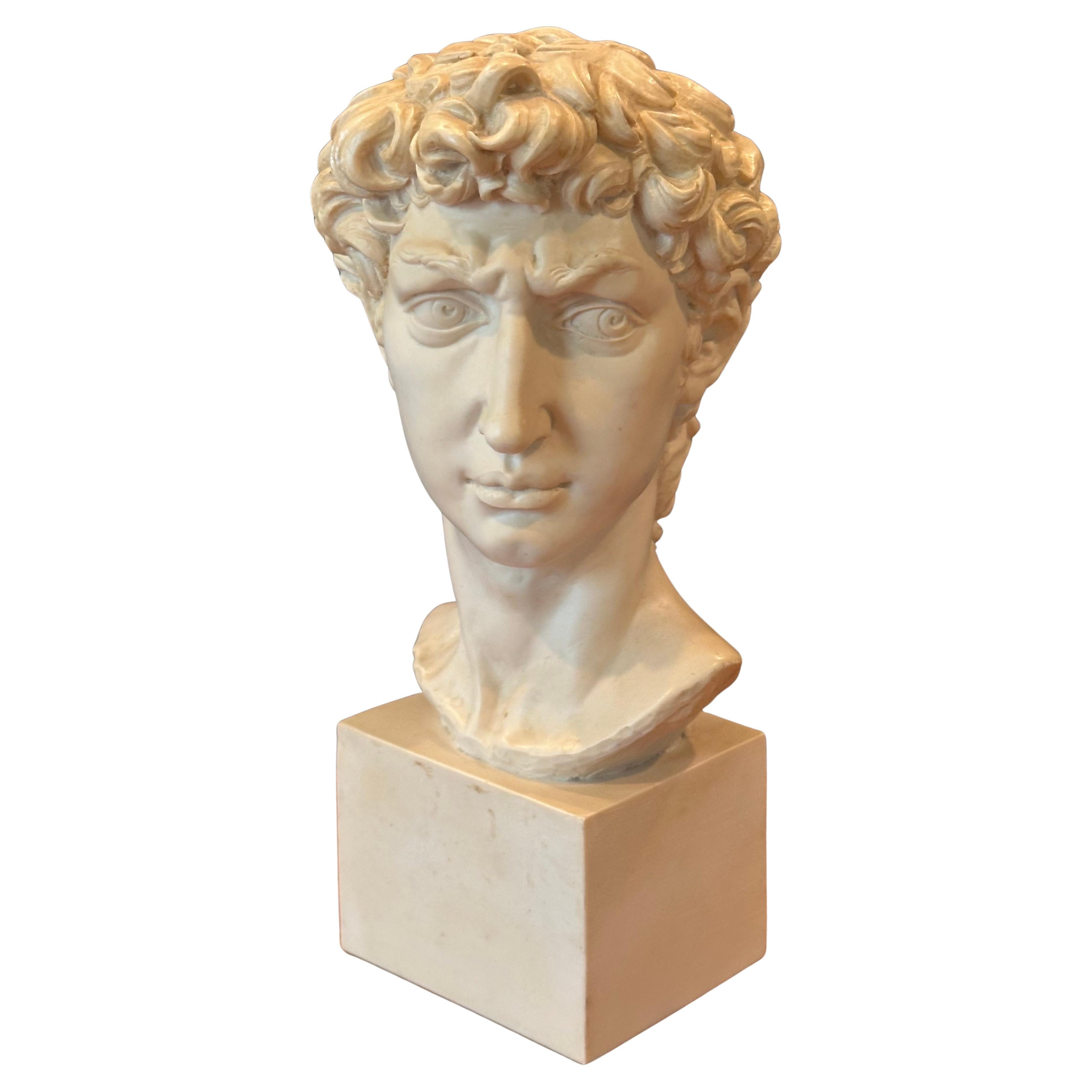 Un bellissimo busto in resina vintage del David di Michelangelo, circa 1990. Il pezzo è in ottime condizioni vintage, senza scheggiature o crepe, e misura 6 