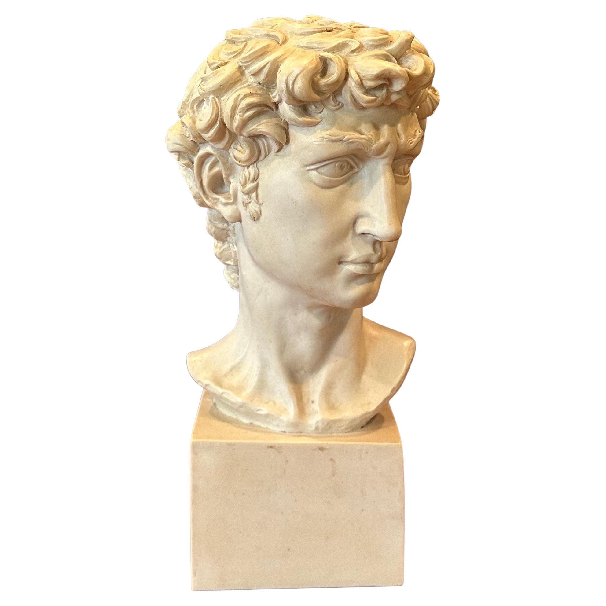 Americano Busto in resina d'epoca del David di Michelangelo in vendita