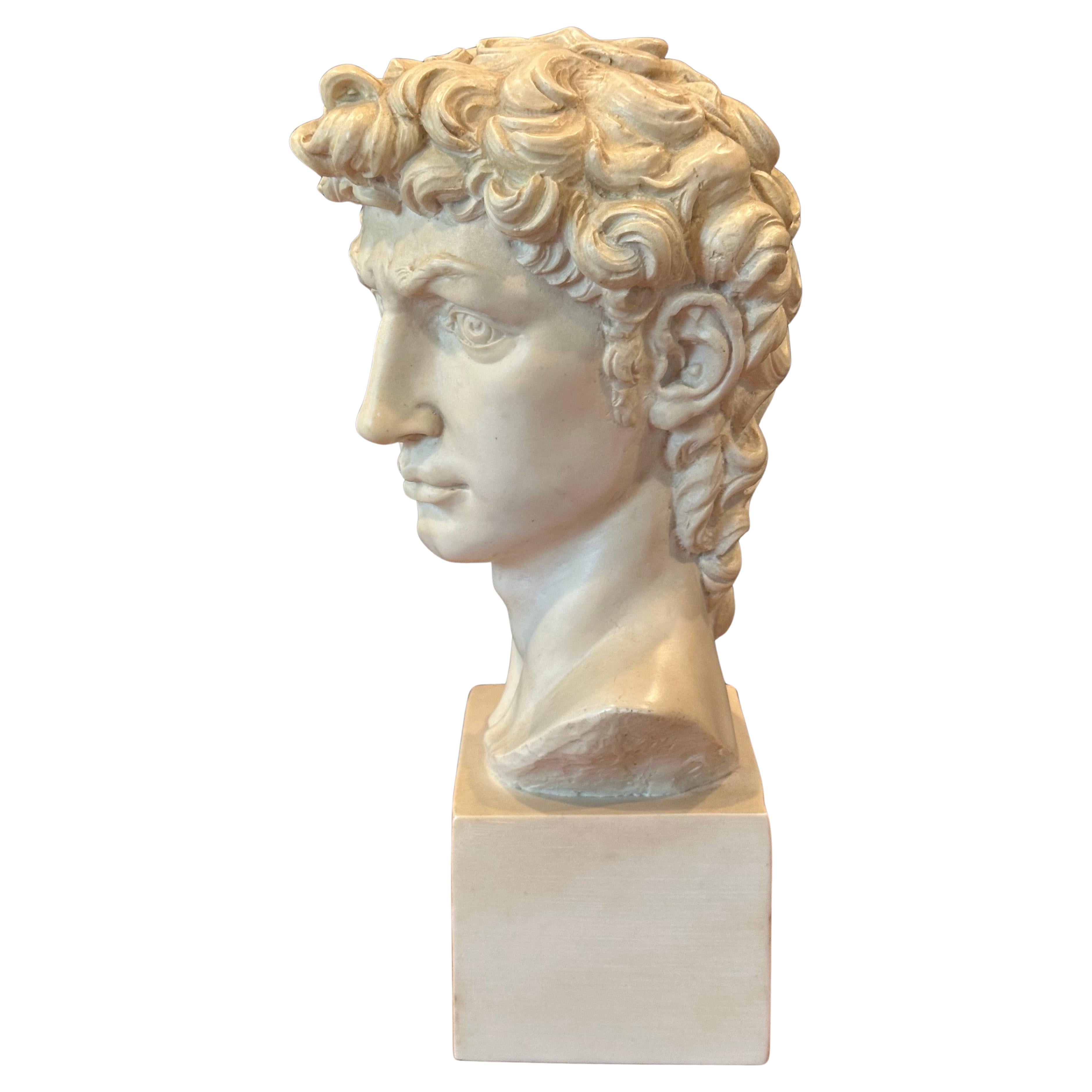 Busto in resina d'epoca del David di Michelangelo In condizioni buone in vendita a San Diego, CA