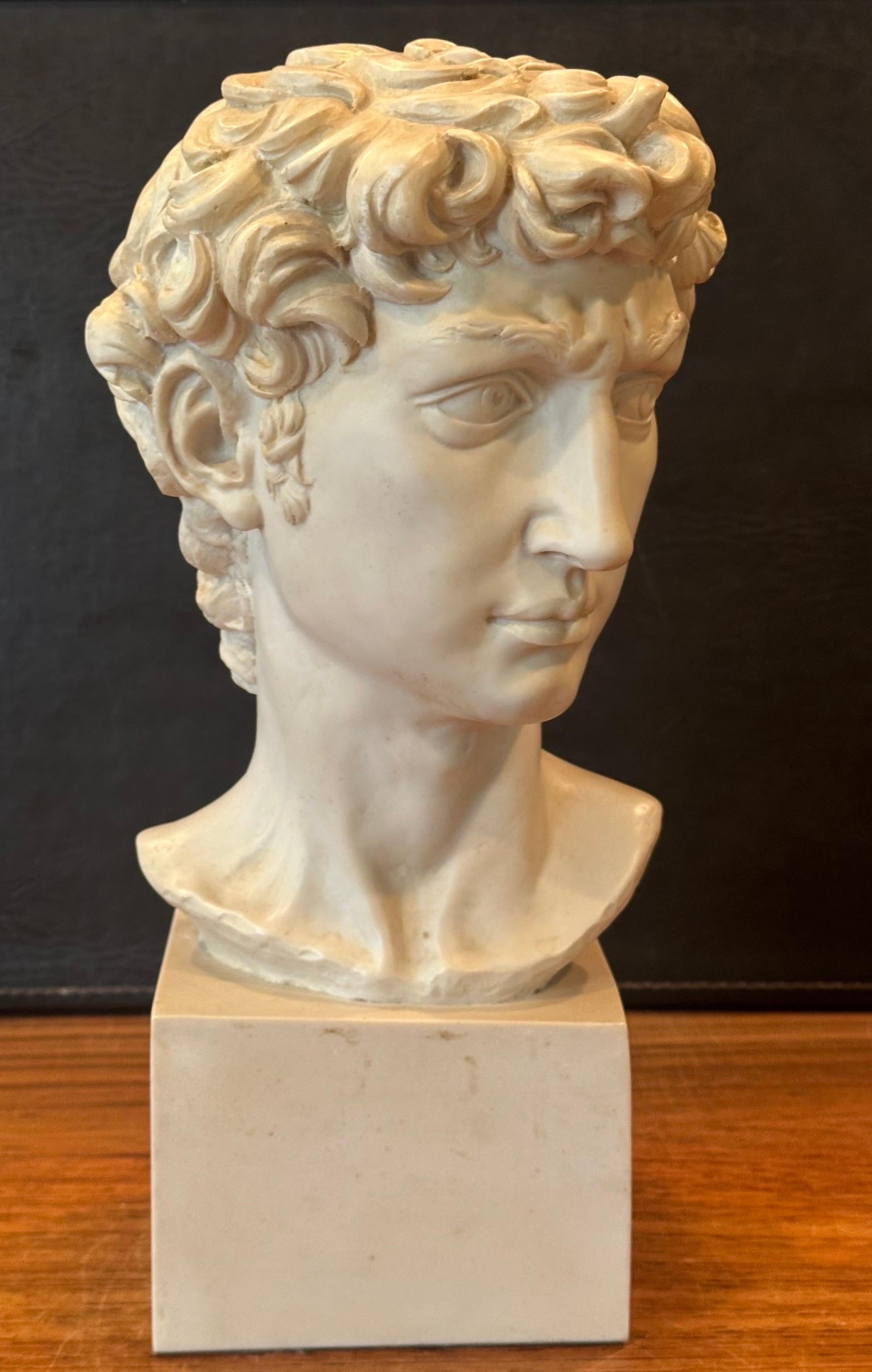 XX secolo Busto in resina d'epoca del David di Michelangelo in vendita