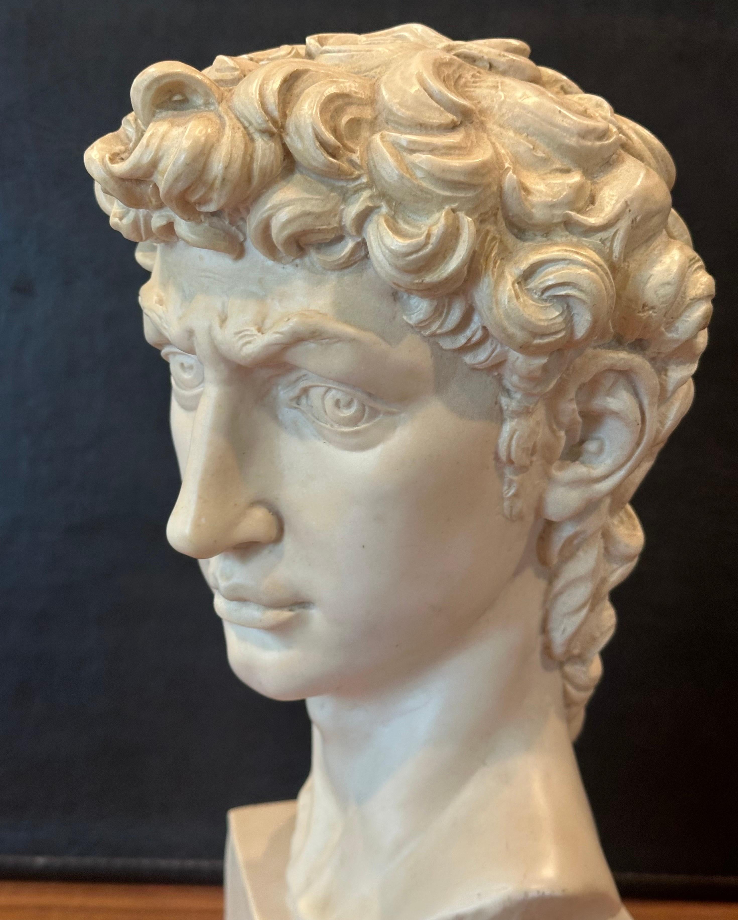 Resina Busto in resina d'epoca del David di Michelangelo in vendita