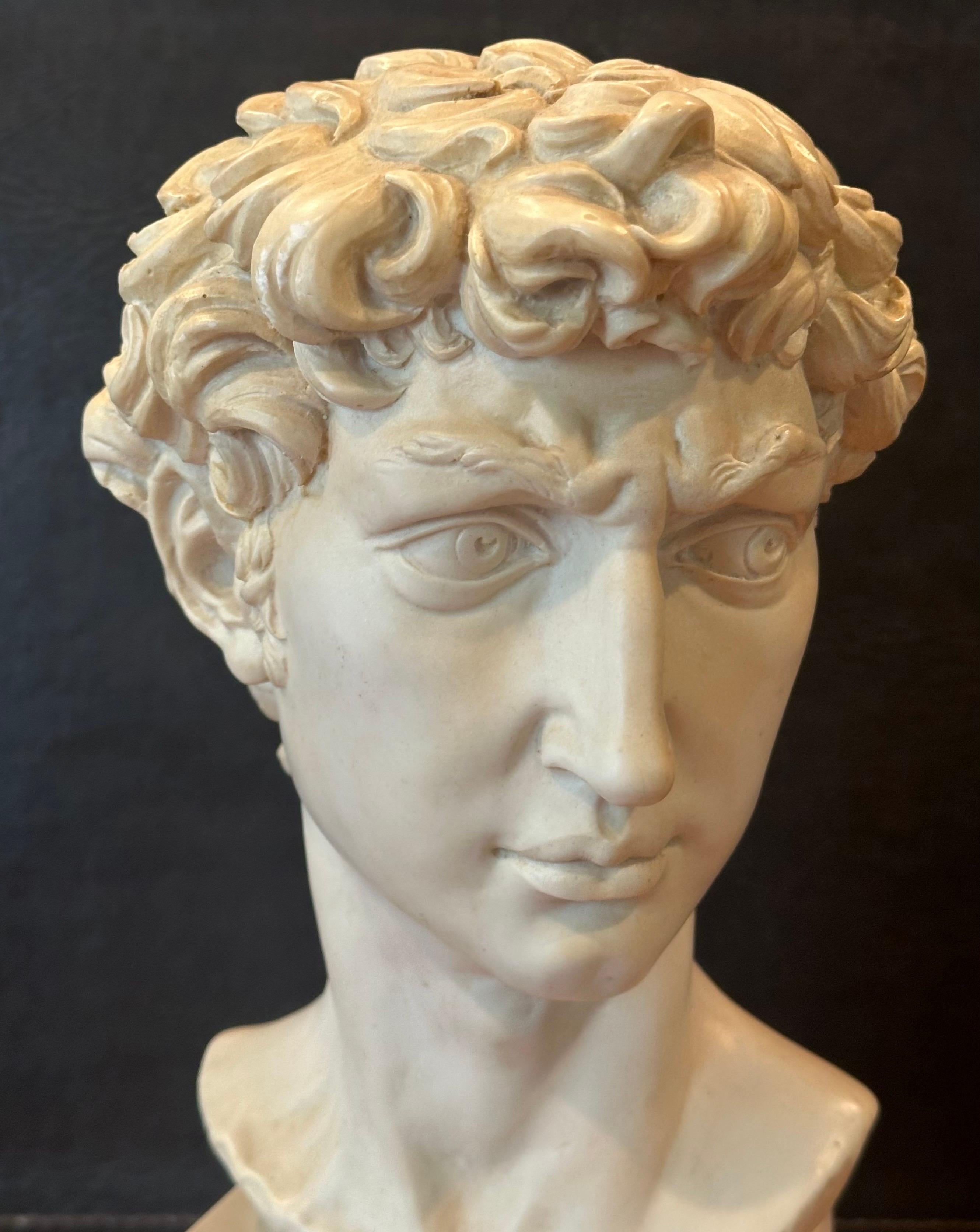Busto in resina d'epoca del David di Michelangelo in vendita 2