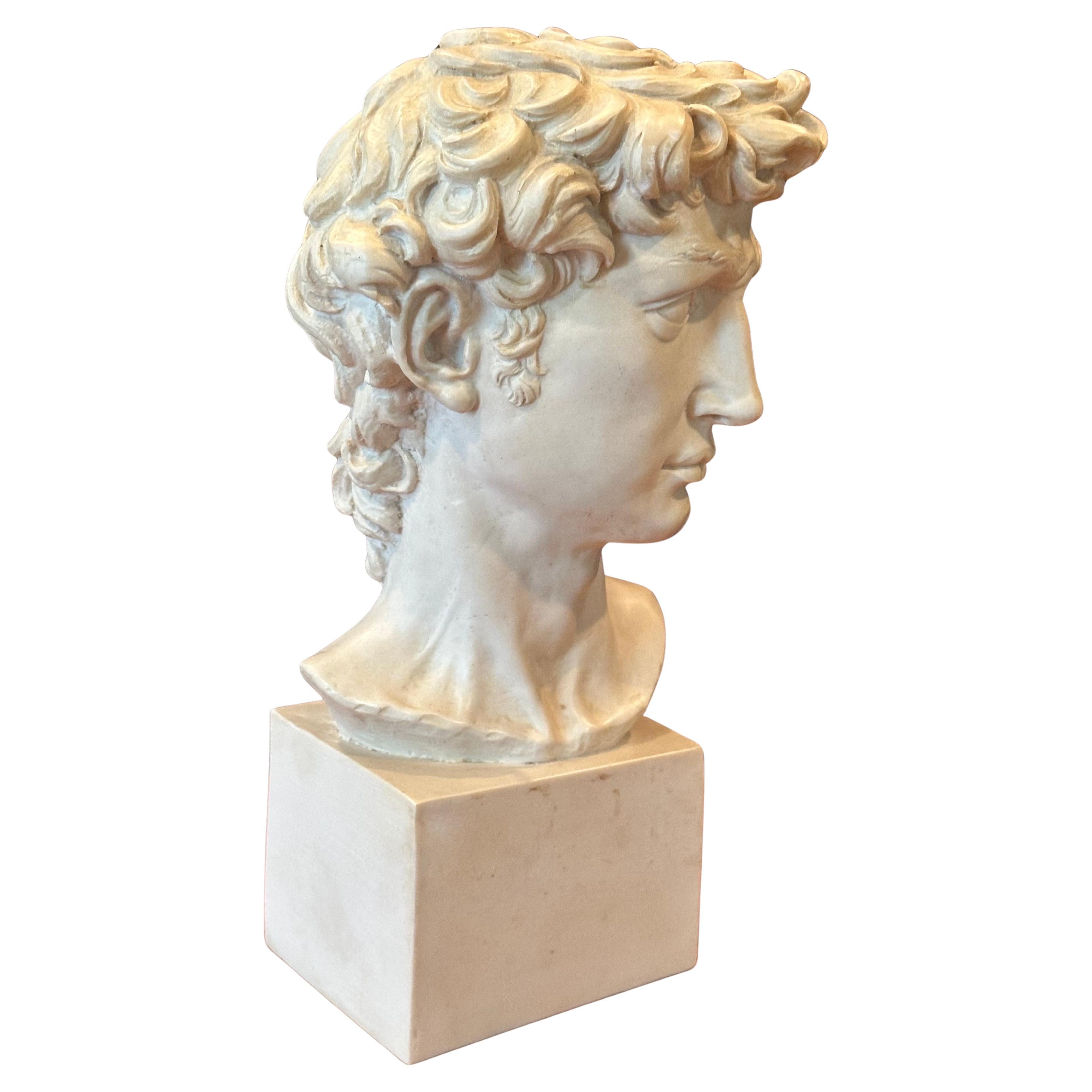 Busto vintage de resina del David de Miguel Ángel