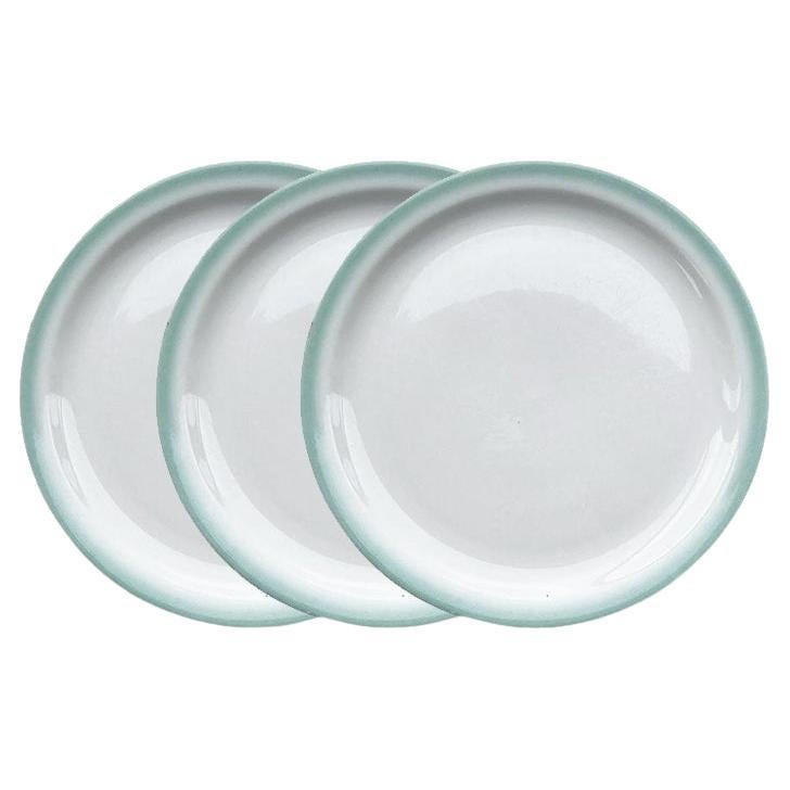 Vintage Restaurantware Ombre Green Dinner Plates - Shenango China For Sale