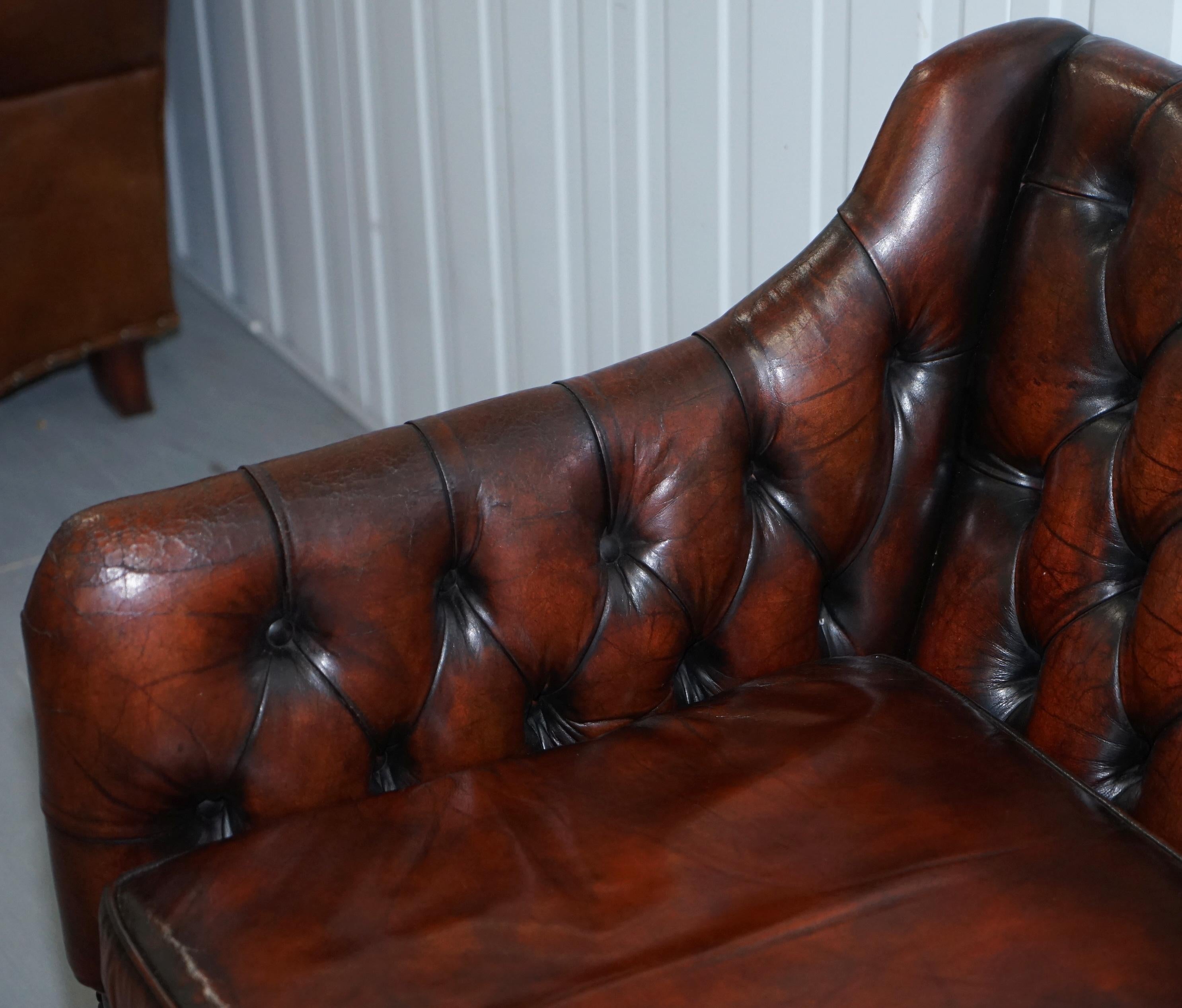 Vintage Restored Chesterfield Brown Leather Gun Suite 3-Seat Sofa and Armchair 1