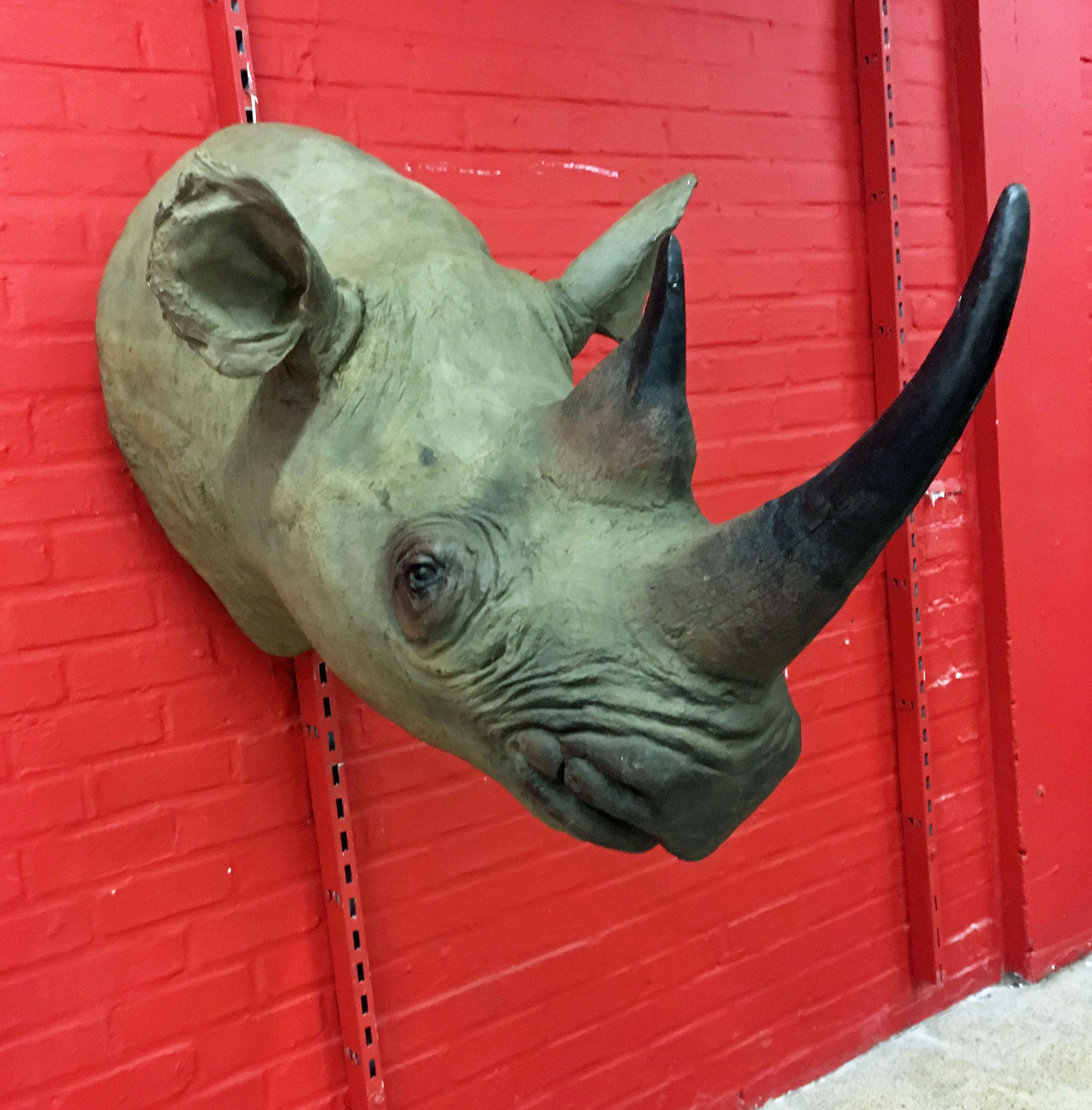 Vintage rhinoceros head sculpture in fiberglass, circa 1970.