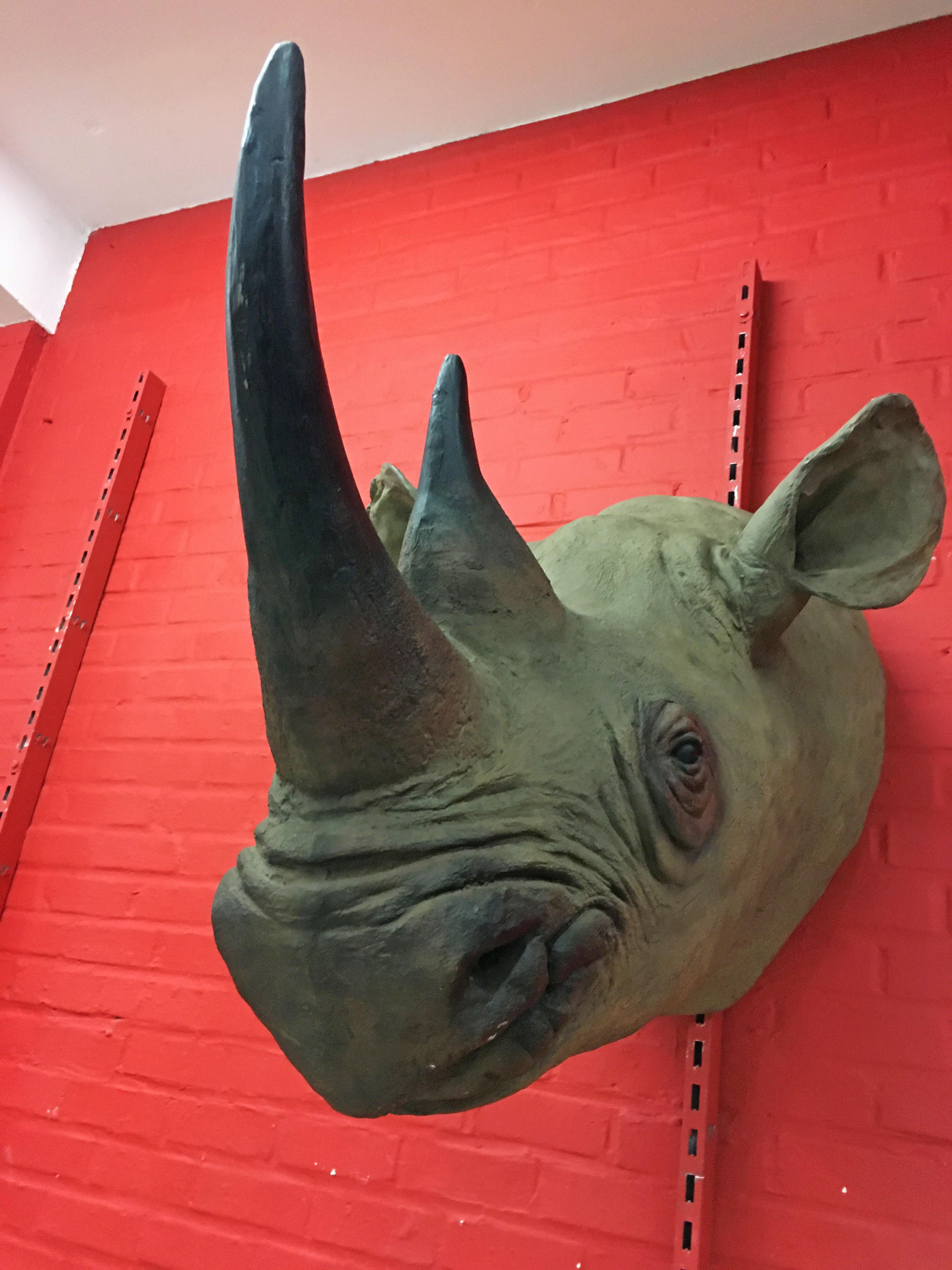 Nordamericano Scultura vintage di testa di rinoceronte in fibra di vetro, circa 1970 in vendita