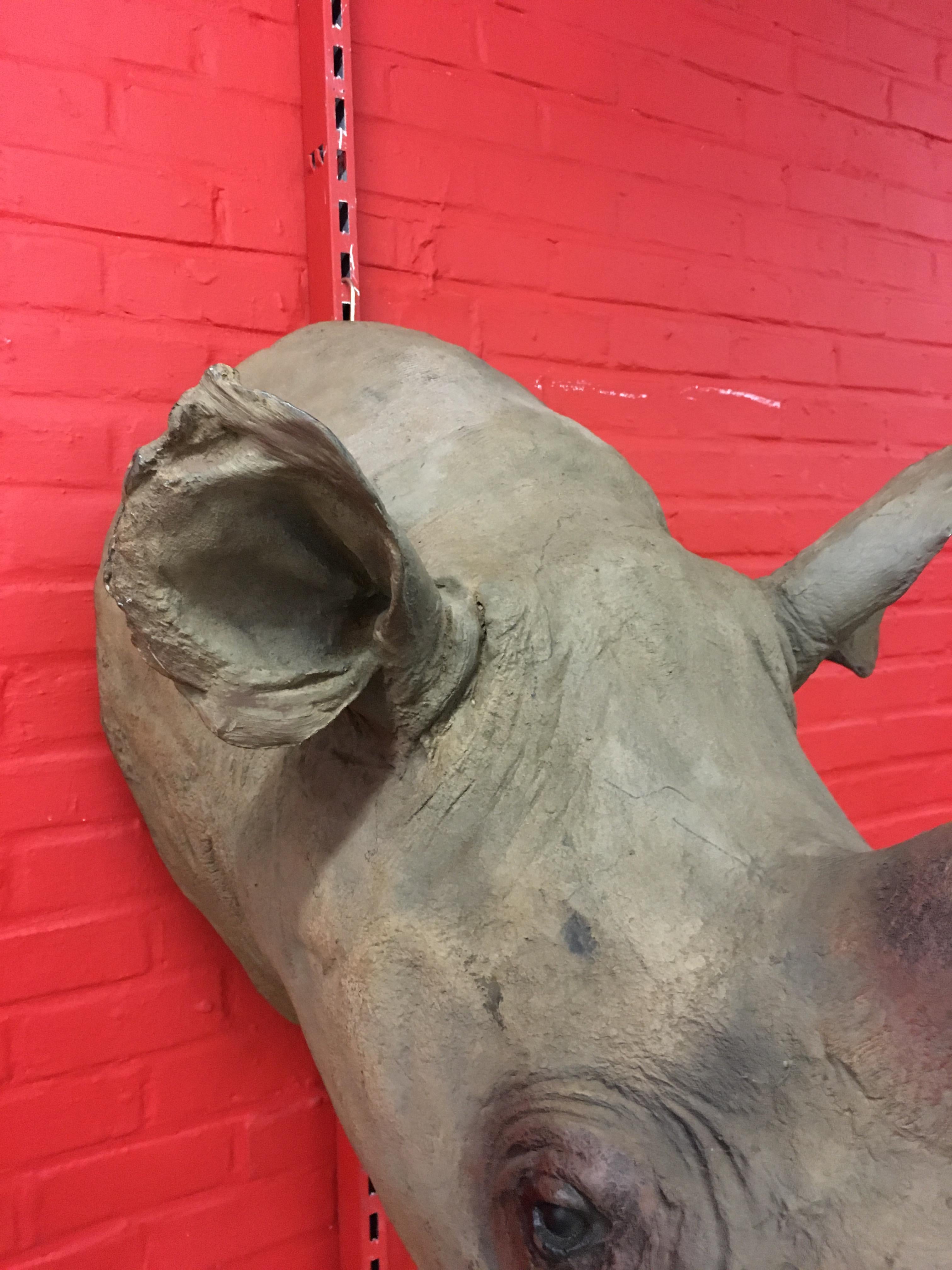 20ième siècle Sculpture de tête de rhinocéros en fibre de verre, circa 1970 en vente