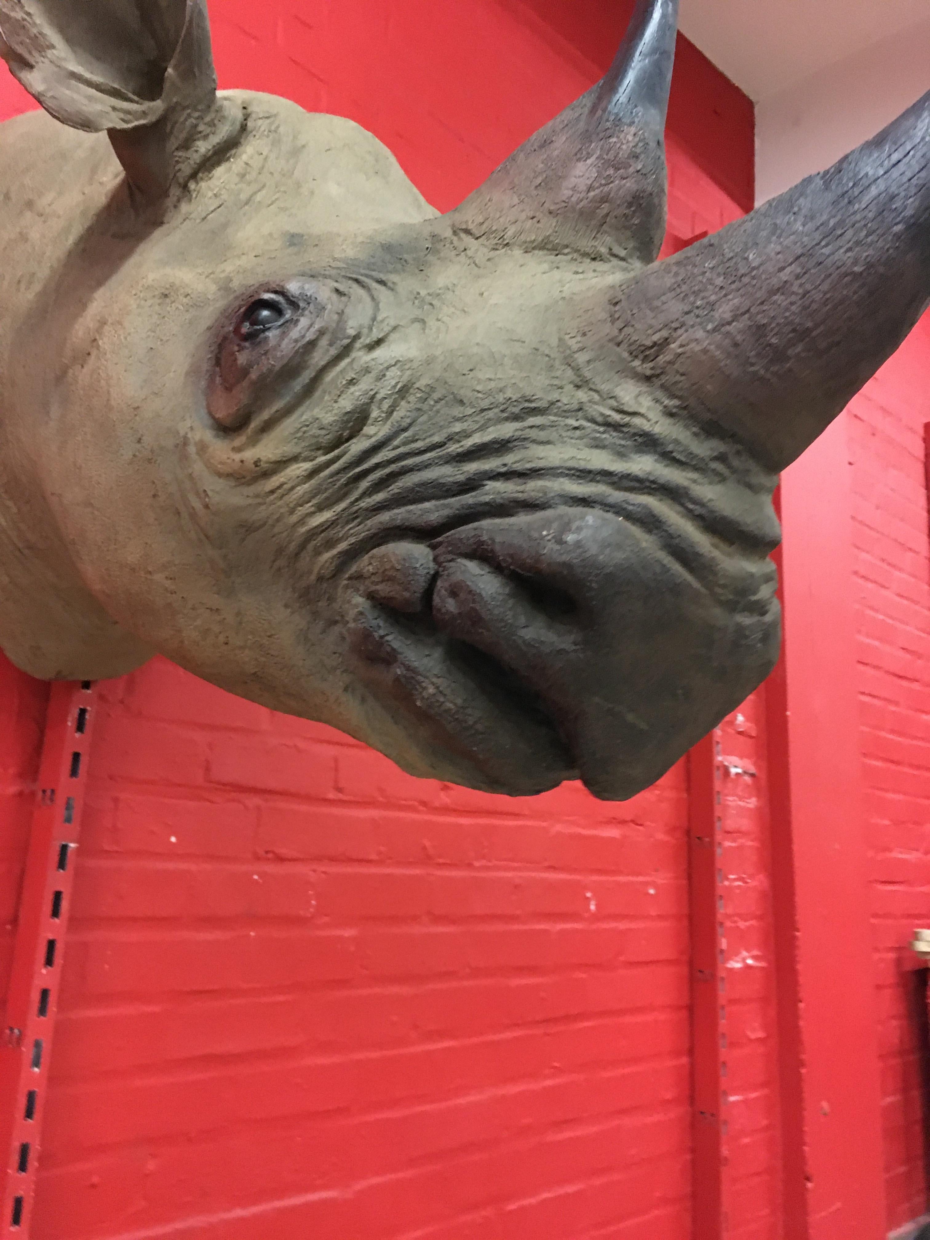 Vintage Rhinoceros Head Sculpture in Fiberglass, circa 1970 For Sale 1