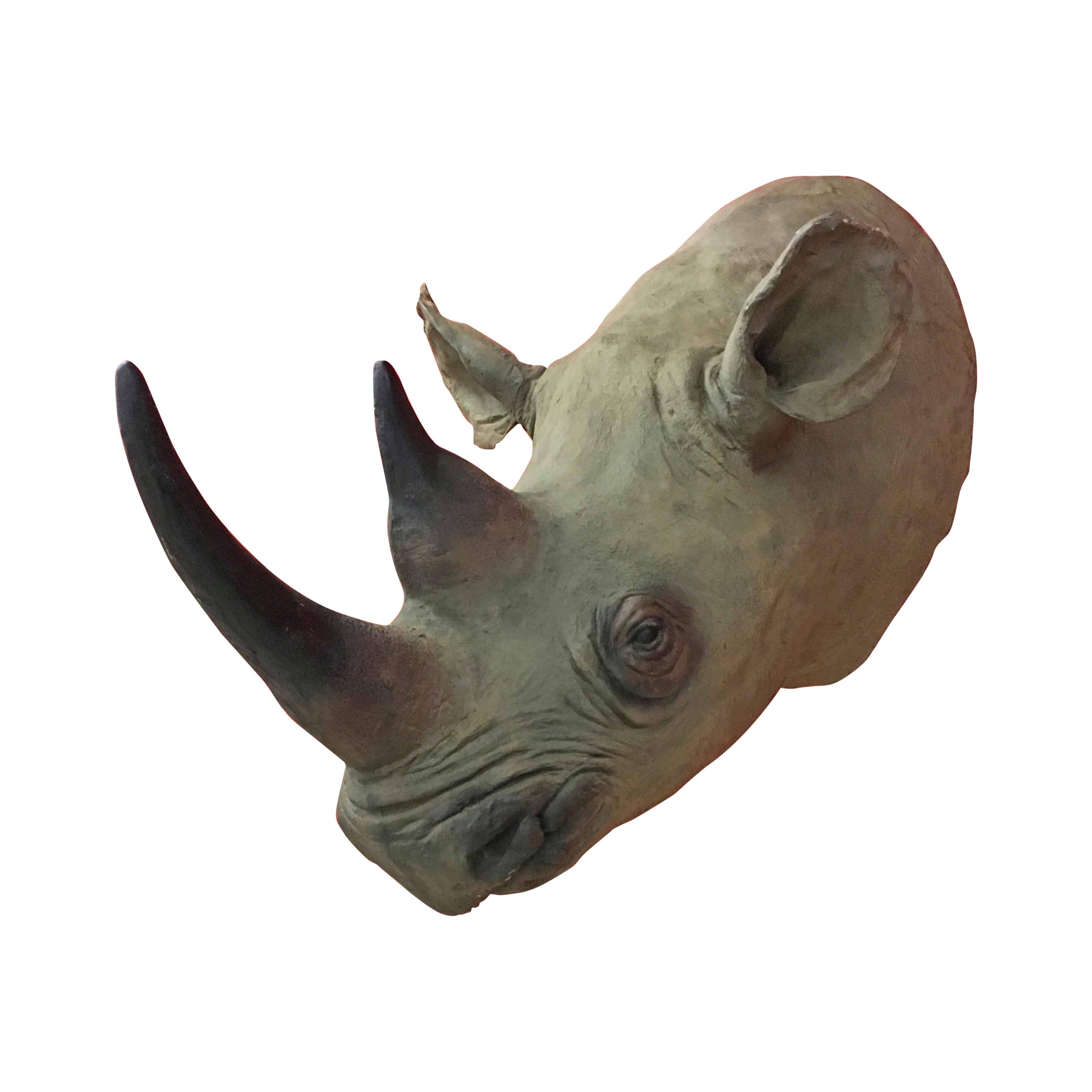 Vintage Rhinoceros Head Sculpture in Fiberglass, circa 1970