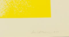 Vintage Richard Anuszkiewicz Lithograph