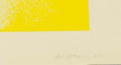 Litografia vintage di Richard Anuszkiewicz