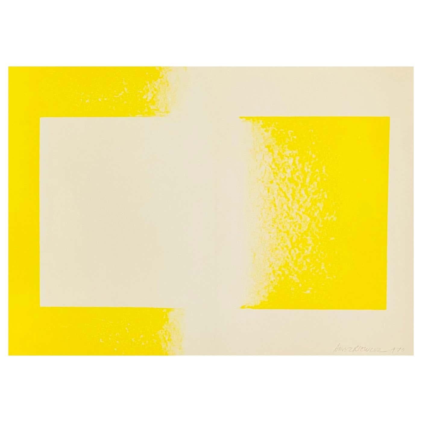 Litografía vintage de Richard Anuszkiewicz Papel en venta