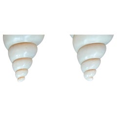 Lámparas de concha de escayola vintage "Richard Etts" (Pareja)