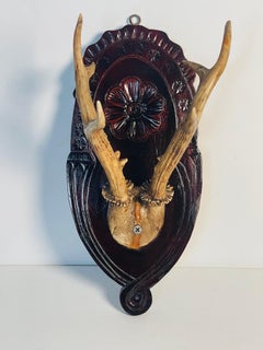 Vintage Roe Deer Antlers on Carved Wood Mount