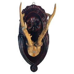 Vintage Roe Deer Antlers on Carved Wood Mount