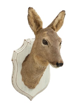 Vintage Roe Deer on Shield