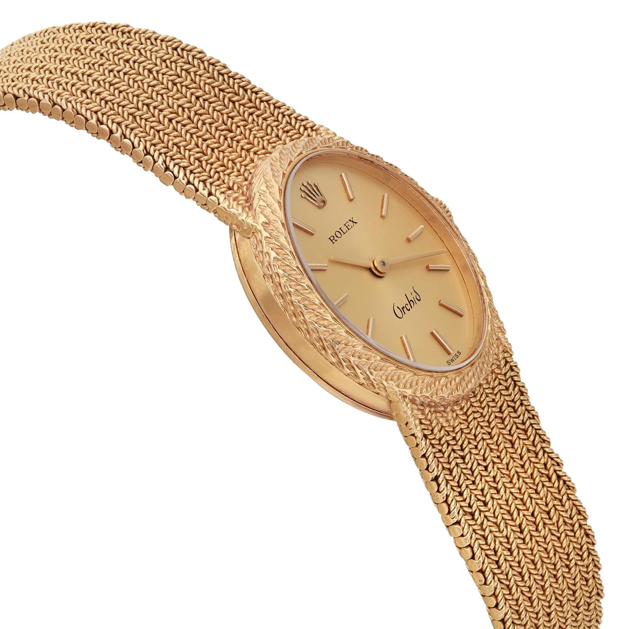 rolex orchid gold watch