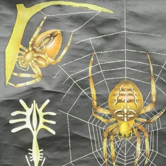 Vintage Rollable Jung Koch Quentell Wall Chart Cross Spider Araneus Marmoreus