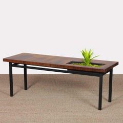 Vintage rosewood coffee table with a planter, 1960