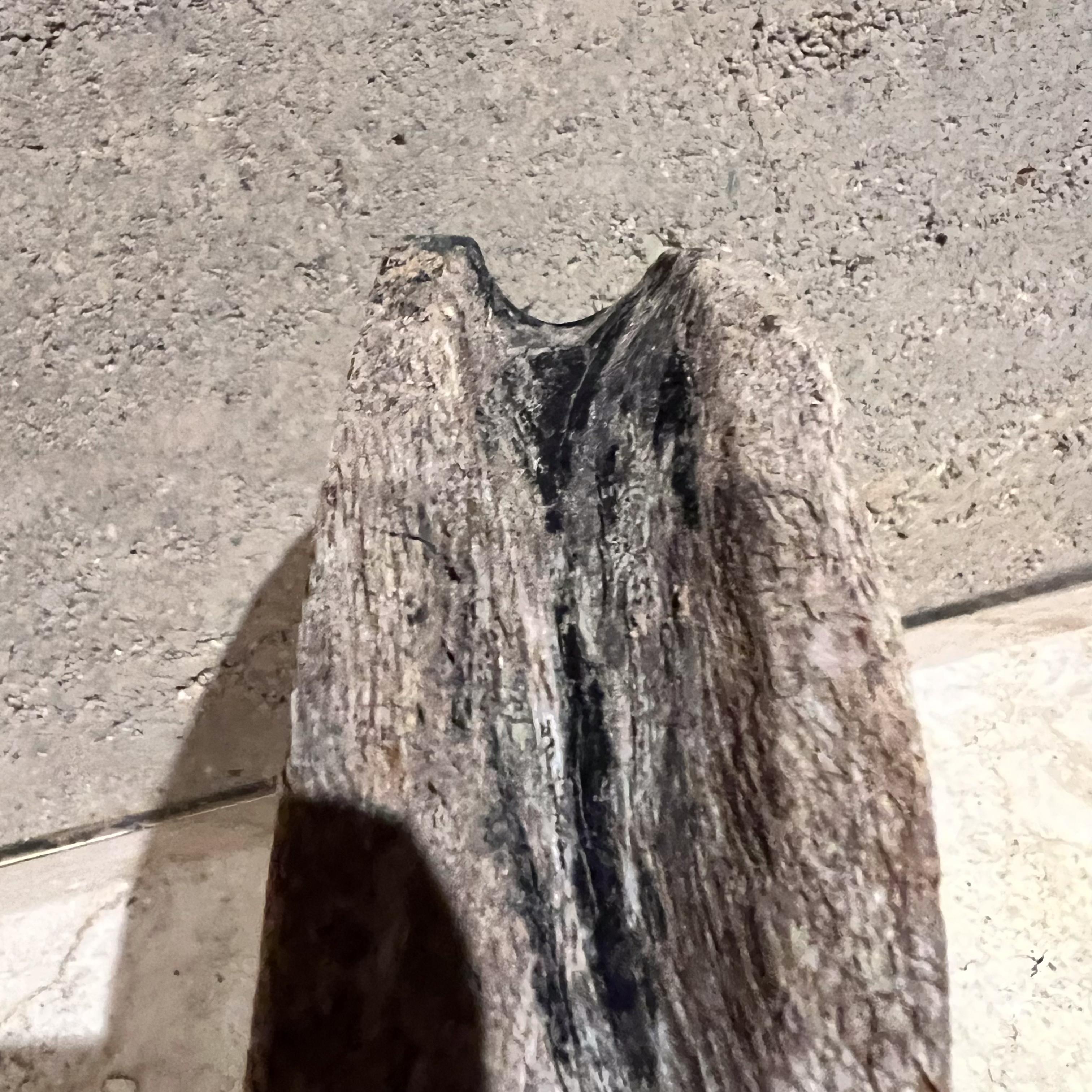 Polea de disco circular de madera de mezquite vintage francesa Madera en venta