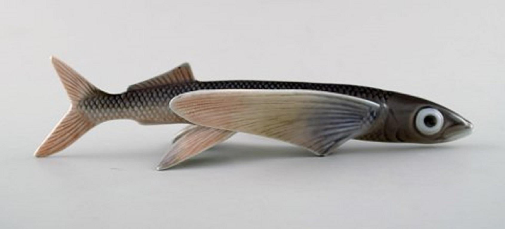 Vintage Royal Copenhagen flying fish figurine number 3050
Designed by Platen Hallermundt, 1960.
Measures: 16 cm x 9 cm.
In perfect condition. 1st. factory quality.