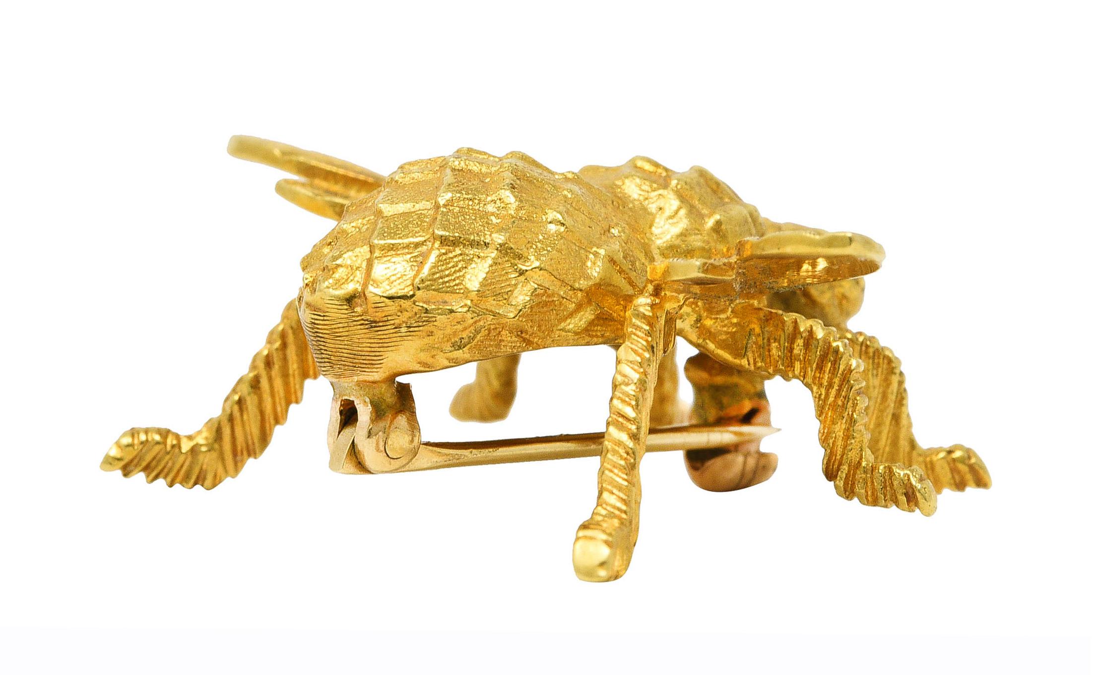 bug with gold wings