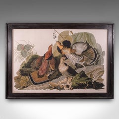 Vintage Ruffed Grouse Picture, English, Framed Print, JJ Audubon, Wildlife Art