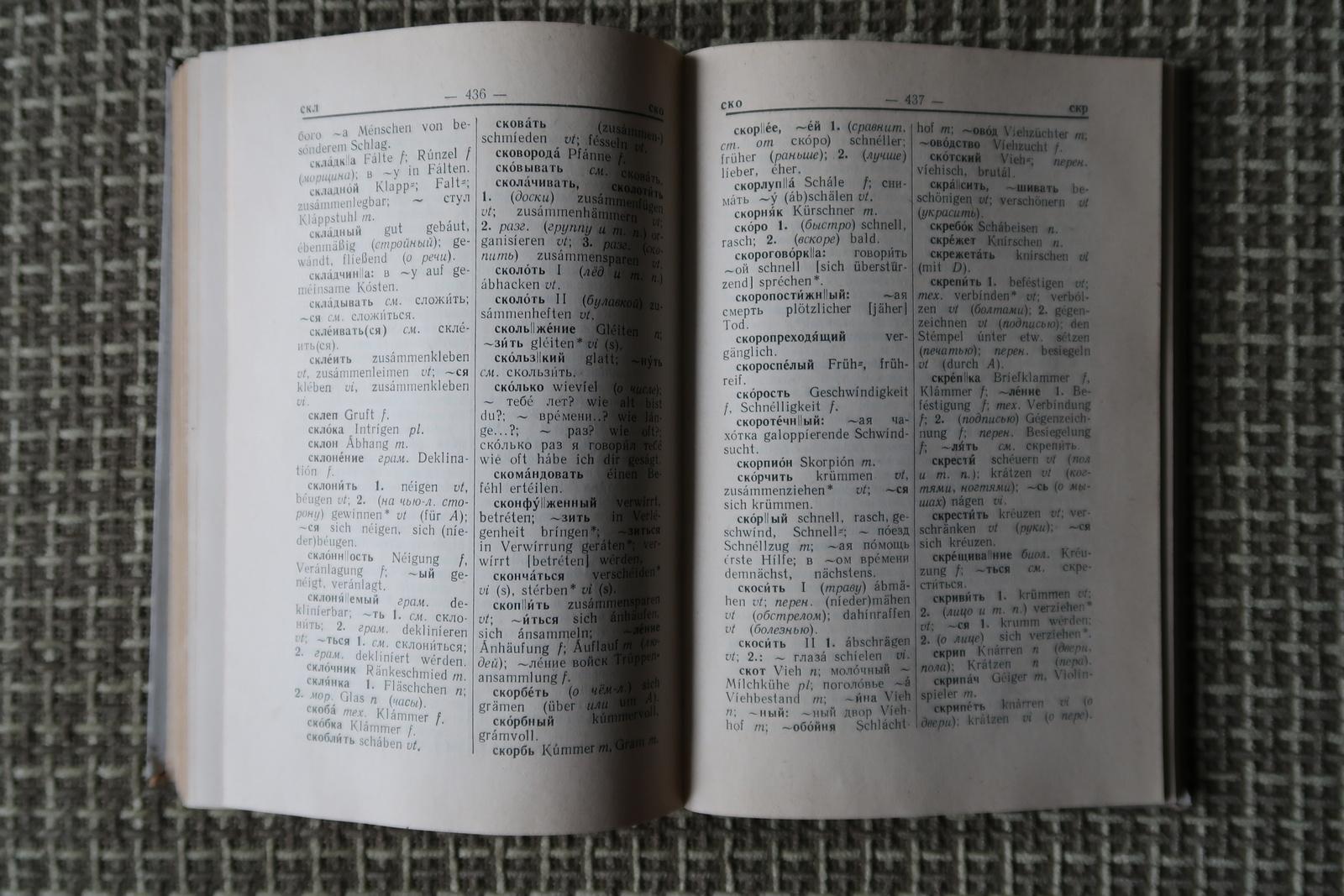 Dictionnaire russe-allemand d'époque de l'URSS : Compagnon de langue Timeless, 1J100 en vente 1
