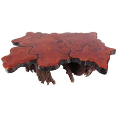 Vintage Rustic Tree Slab Coffee Table