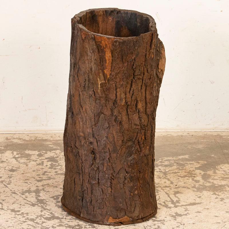 This unique wood container is made from a hollowed out tree trunk, making it a truly one of a kind piece. The organic appeal comes from the wood itself still covered in bark and the simple base which was attached to create a container, perfect for a