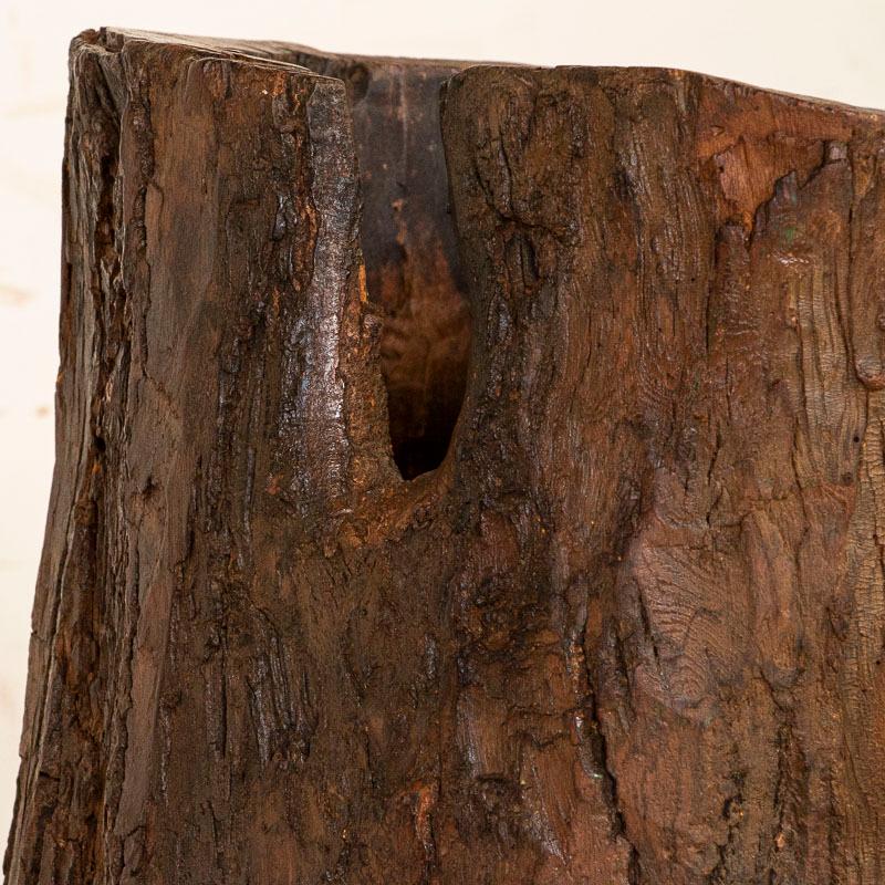 20th Century Vintage Rustic Wood Container Made From Tree Trunk