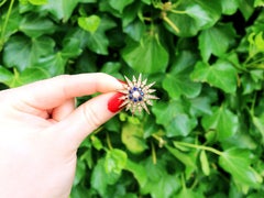 Vintage Victorian Style Sapphire and Pearl 9k Yellow Gold Star Brooch