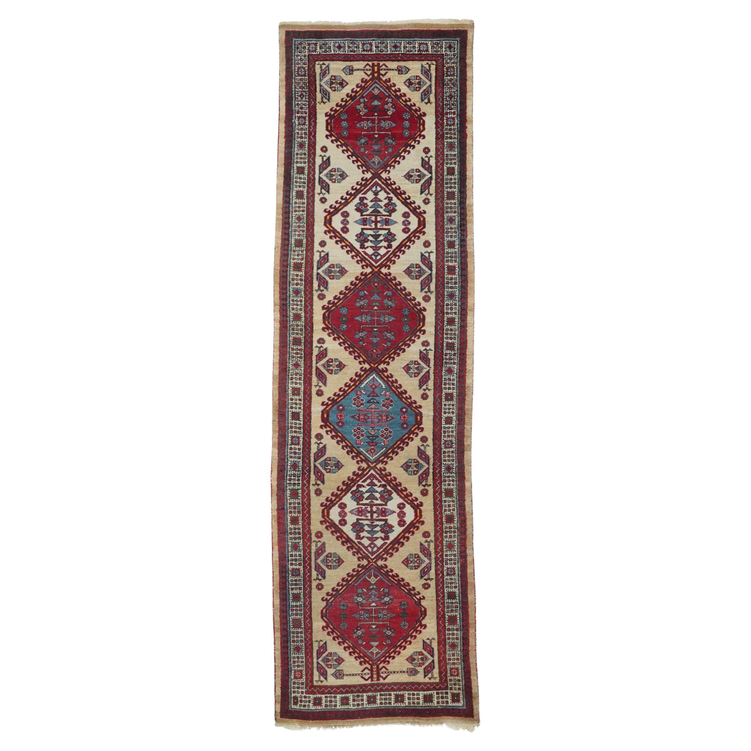 Alfombra Sarab Vintage 3'0" x 11'2''